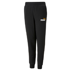 ESS+ 2 COL LOGO PANTS FL CL B-2037647