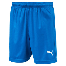LIGA SHORTS CORE W BRIEF JR-548101