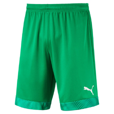 CUP Shorts