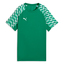 teamLIGA26 Jersey sportgreenpumawhitesportgreen