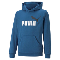 ESS+ 2 COL BIG LOGO HOODIE FL B-2037583