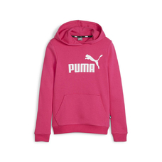 ESS Logo Hoodie TR G-2261790