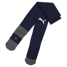 teamLIGA26 Socks Core-2444424